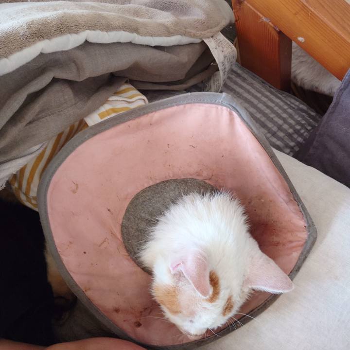 3001dd42 e9f6 4a02 8325 a8063e851ec5 1768101756610