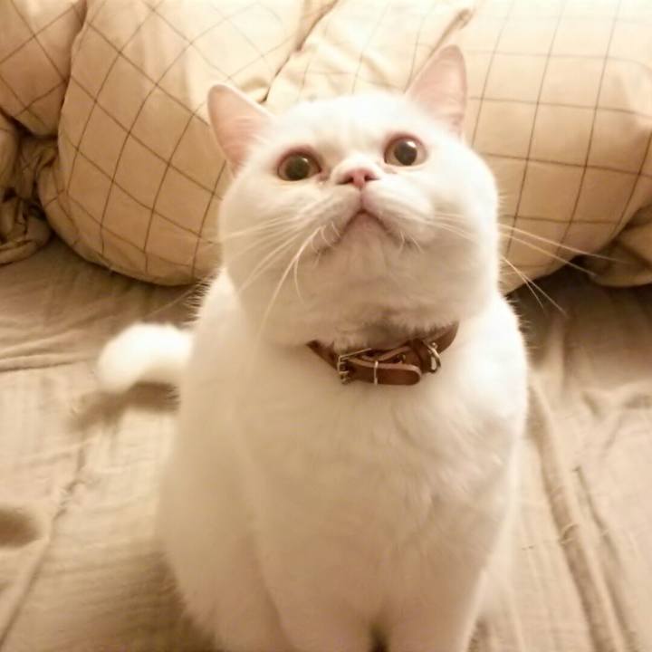 3001e3a8 3343 4b2a 9d36 17dd5600588c 1511729998291