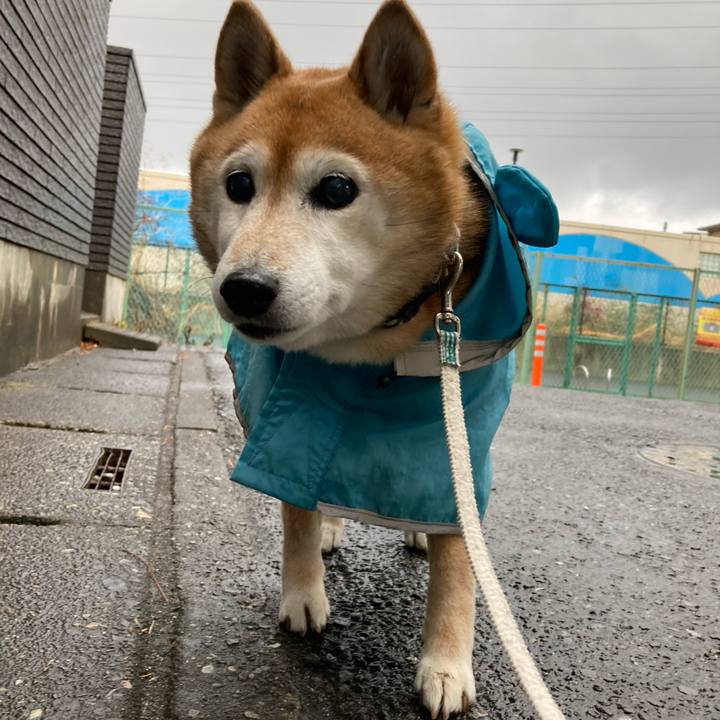 300237d4 cd89 45b5 917a be707ec37464 1740963261408