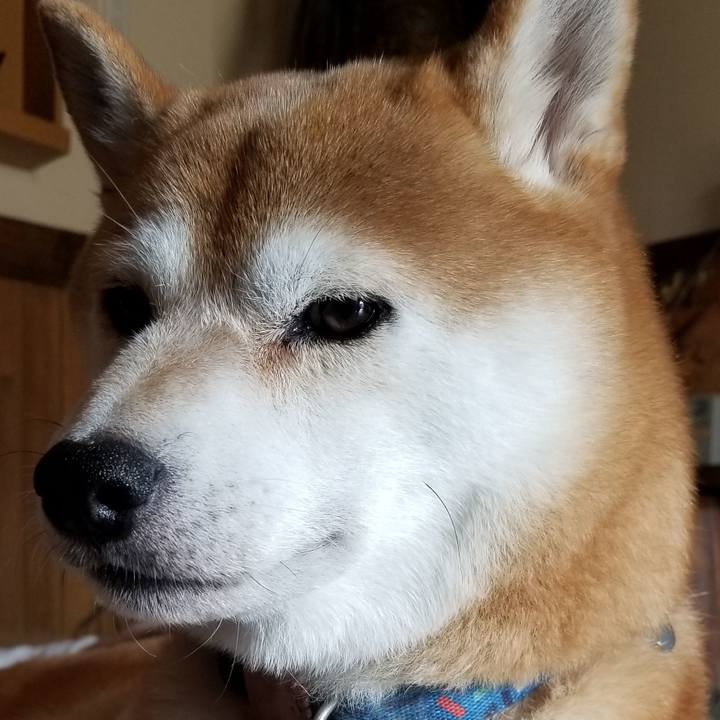 300262b1 5b11 42a6 85d1 c6d721f46407 1567233461124