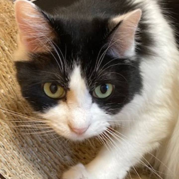 30026939 186e 40ed a1bb 2af5988c3f5e 1662817698827