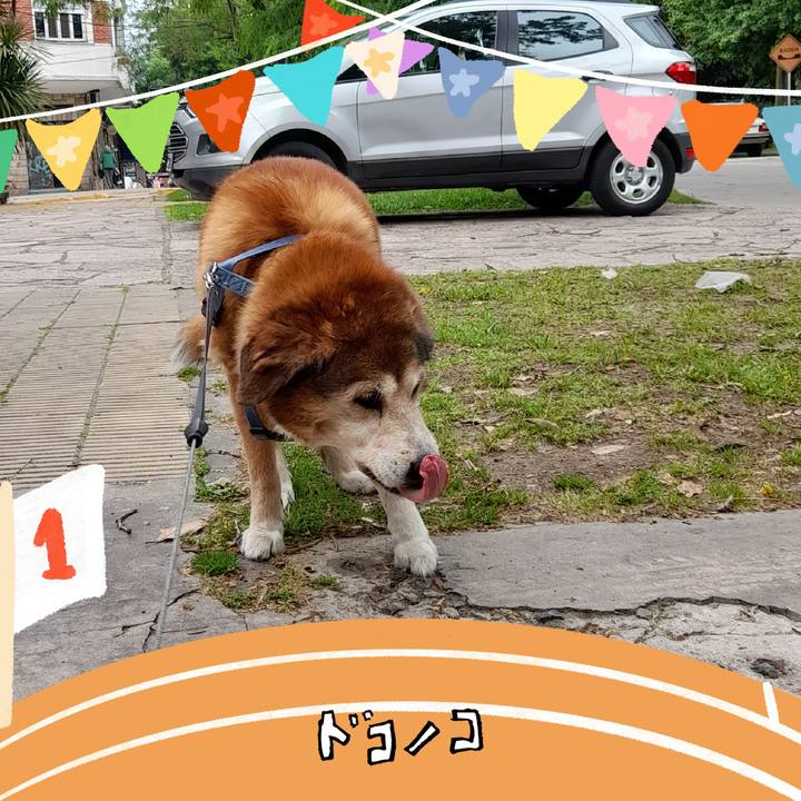 30033731 21f1 4a2d bea9 40e9312f757a 1762007632739