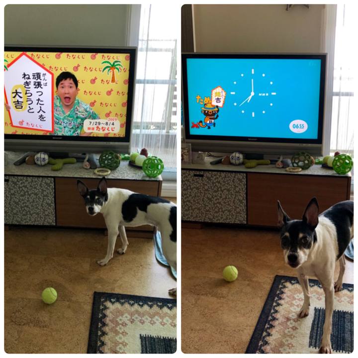 30038e48 2d8e 4789 a297 264ae902adfb 1564354903308