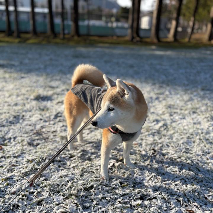 30039656 0838 4e59 aad2 ef3169ad2ed9 1764754236824