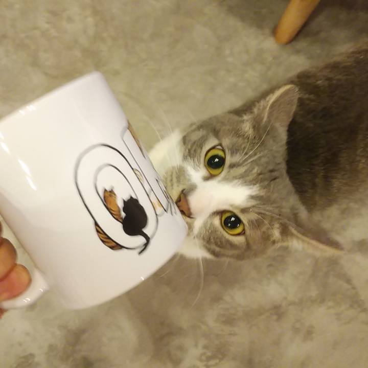 300399e1 8dc0 4e1b 8eb4 e3efaf95bcf2 1588852328034