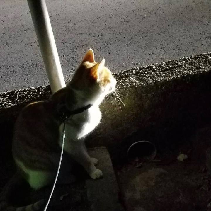 3003e422 f229 4ea6 a8f2 4d33b9609c28 1512727470824