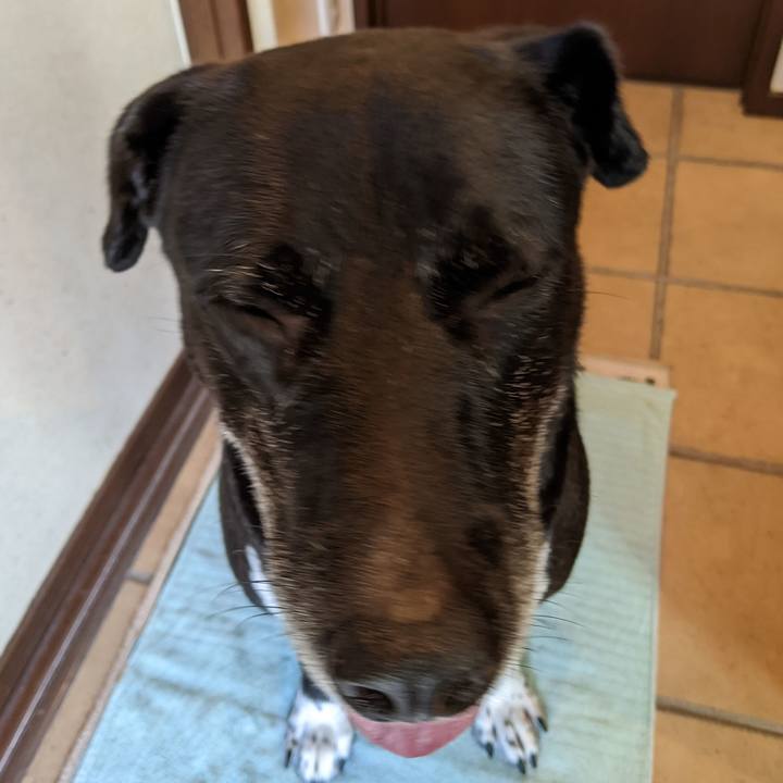 3003ea9e 8592 48a4 9c83 f38dd34e2a69 1690454419386