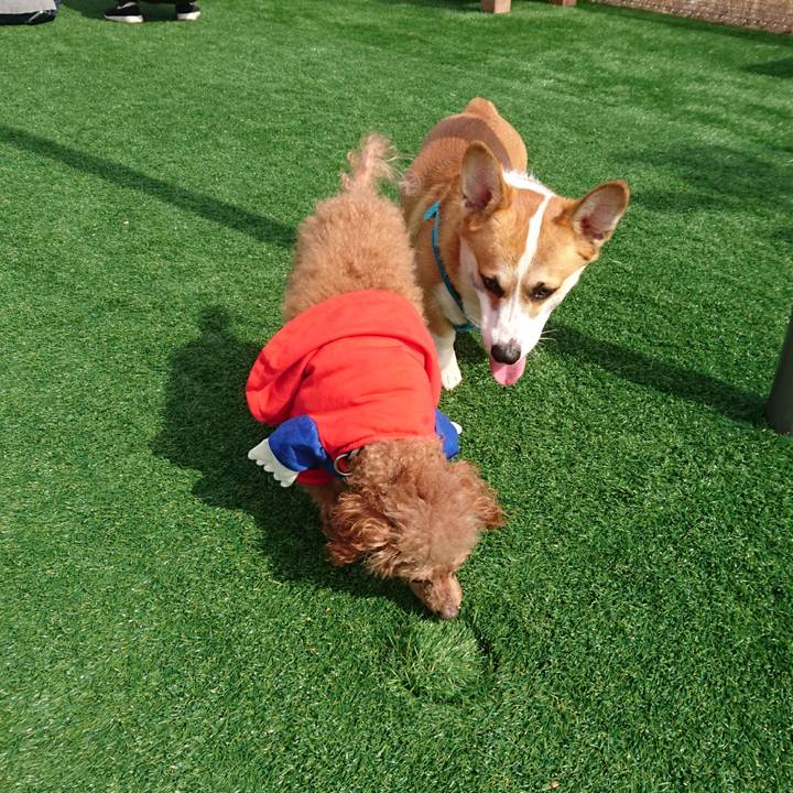 30042061 e8c1 45fe a9d2 b365d52f06bd 1571562255432