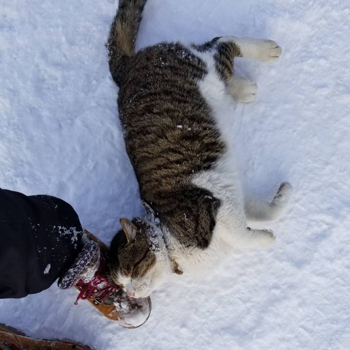 30047105 3dc1 4b9e 93be d6edbd74515a 1581428279866