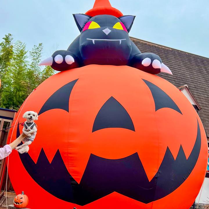 300491fc 0601 4341 9601 38cdc6559c2c 1666865047384