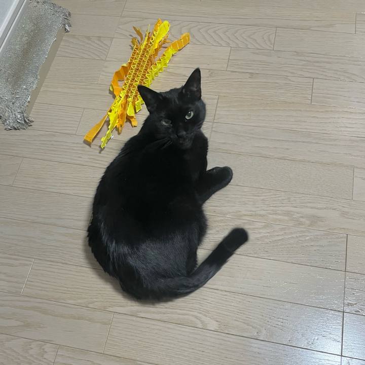 3004d538 9b1e 4557 95aa 6cf7e7b8a90f 1713175244557