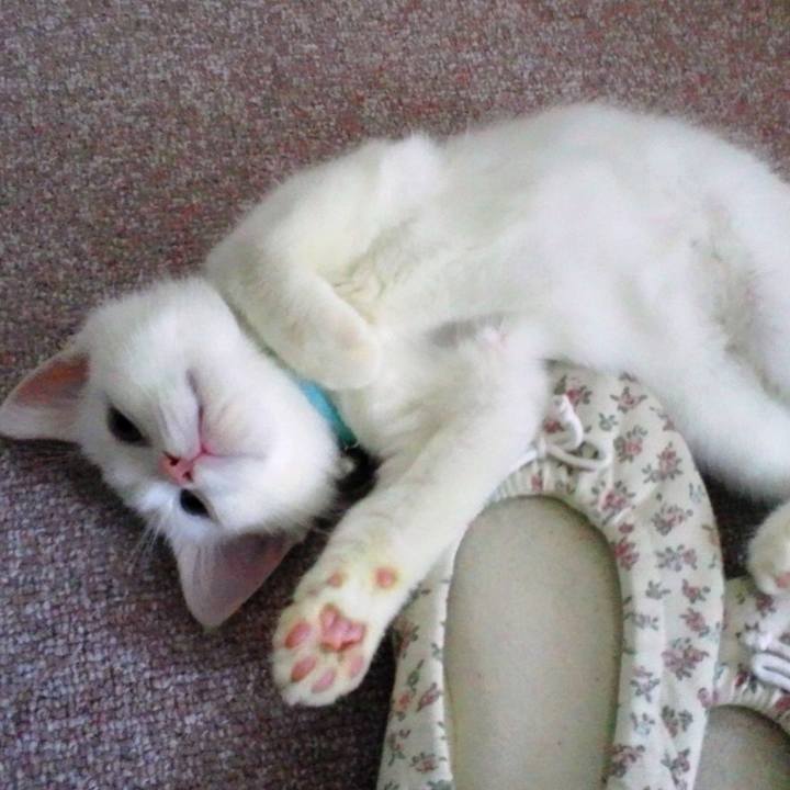 3004ec3f cc2b 4afc 944d 2cac6267bfa0 1509782728212