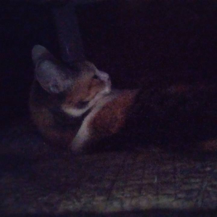 30051c6b d846 43ce b01e b066dbaf6cbe 1742773858519