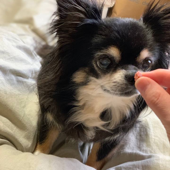 300521f2 ad65 47ae 8512 d4faf55a27e3 1563315583277