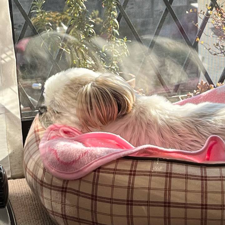 30052442 cdf2 4dcb 939b a23e786fcd1d 1677567782250