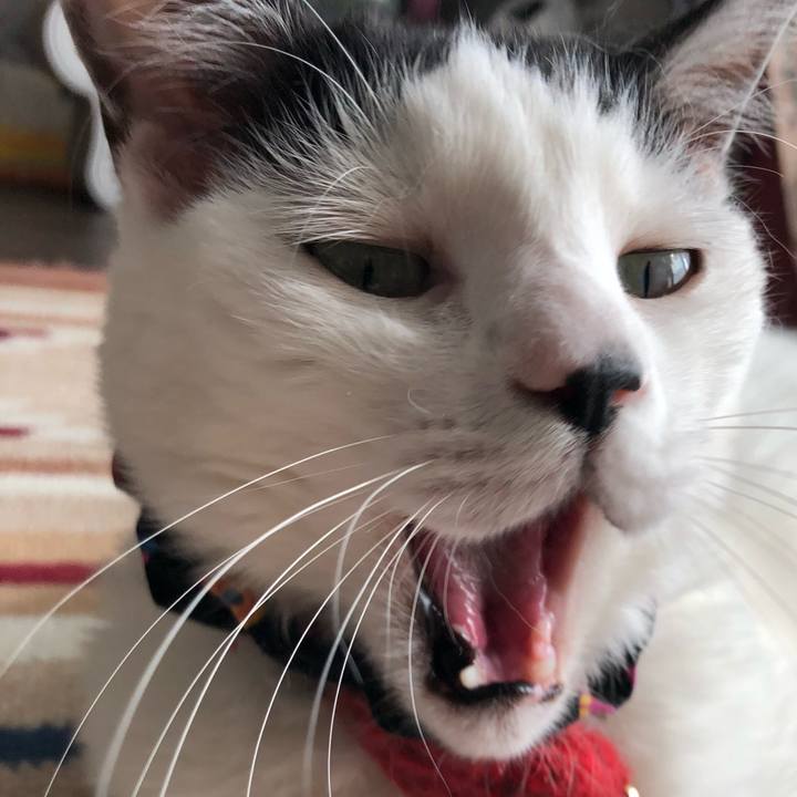 30052fb7 7333 4718 a4ae 16a3302f217e 1527317564778