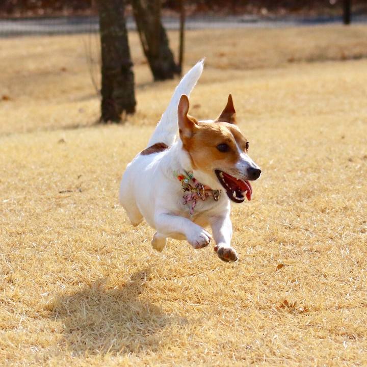 30053383 982c 4210 a95f 7014babadfba 1548488104126