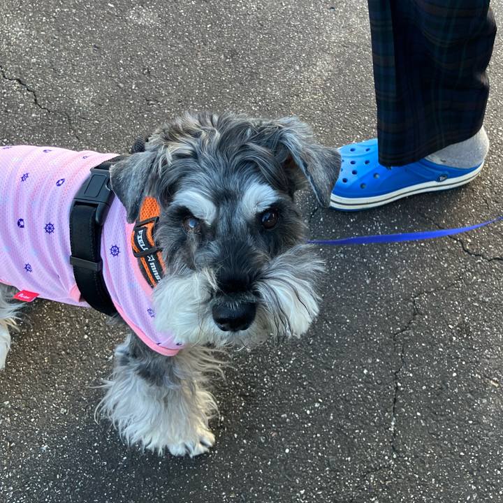 30053716 c832 43f7 a7f5 1611191da4c4 1729376641225