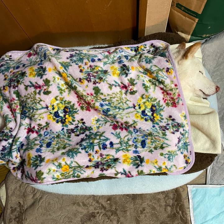 30053ebd 8da0 4dd7 bb47 ca46223035ce 1635514699918