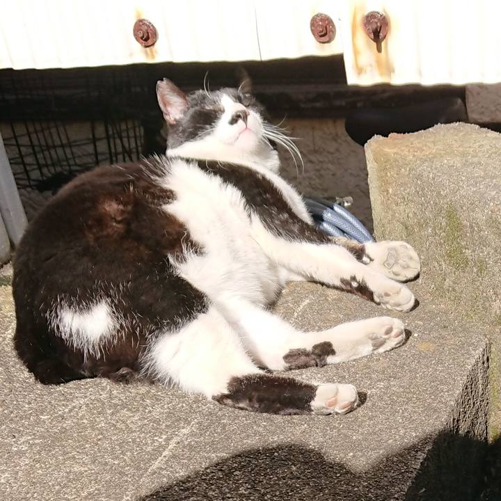 30056039 6e8f 459e 993a 6e952711a93c 1547435977494