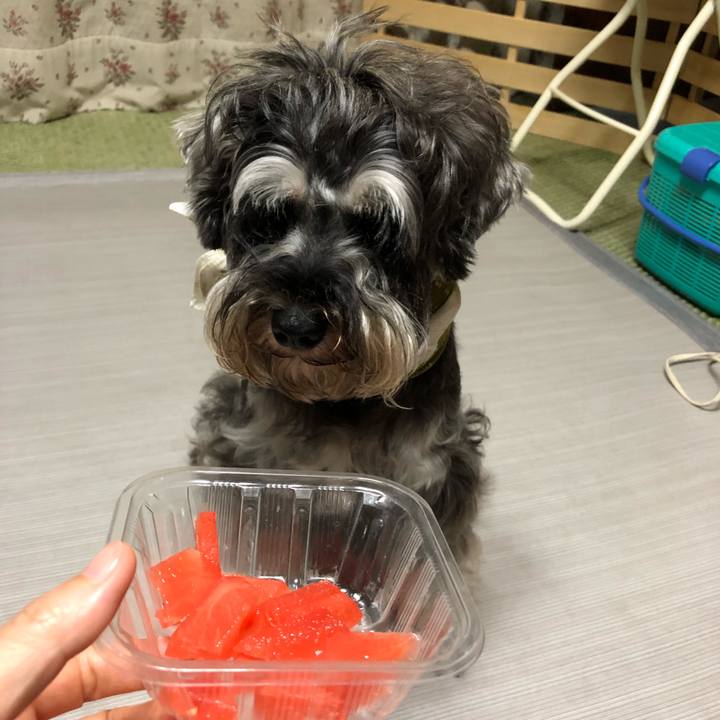 3005a60c 9e68 4801 ae89 87c517fc8f58 1565876675875