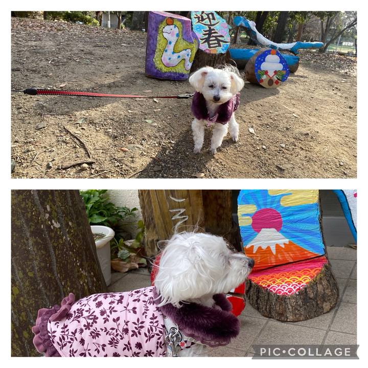 3005e8ac 814d 4fd7 9f64 94b8644eb633 1736055065484