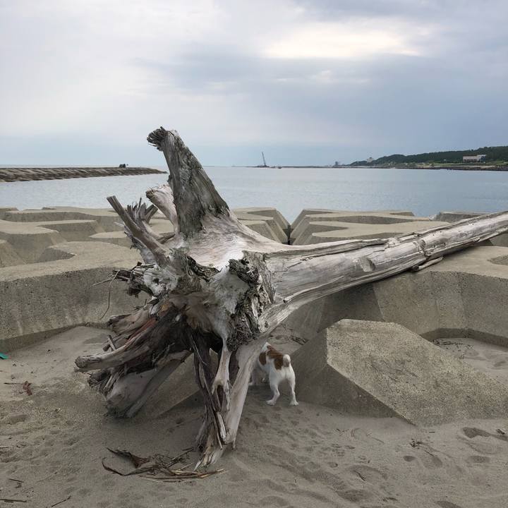 3005ee8e 5fcb 4f85 89bb 9d439eae7d71 1596409102179