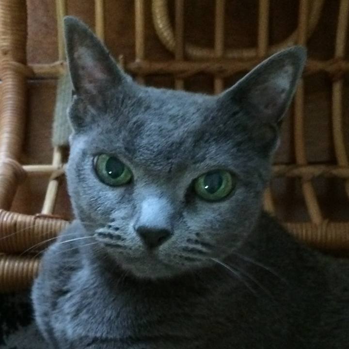 3005ff44 1b37 4cc5 9c9f 83882d6536e3 1532644810237