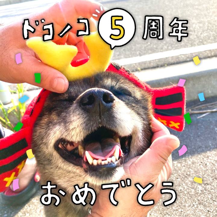 30060b9a 66b5 4352 a999 7c0bab557990 1623335868504