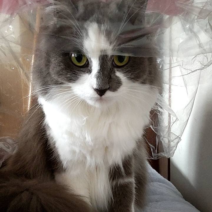 30062be9 b1e6 419f a77e 250c9aa1e83f 1652480622772