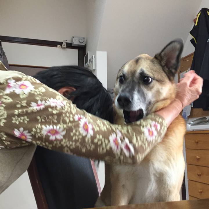 300645cd 5179 4325 b82c 301ad0b9bc21 1510461071732