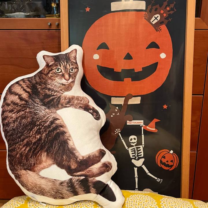 300663b2 126c 464f b68b e116bb30cd37 1761367484764