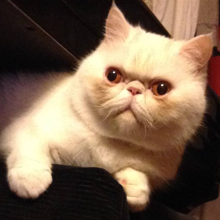 300669f9 f2ab 4deb 8846 80d55e7f62b6 1508419987784