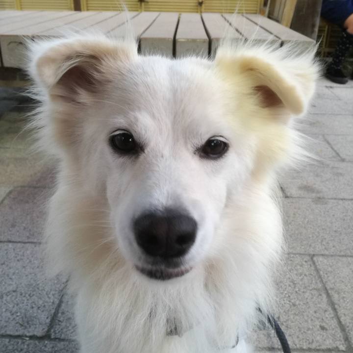 30067183 0a7e 4833 a7a3 1491bbfb4b77 1508922136760