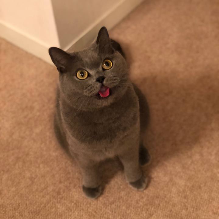 300685a9 cb33 4197 9952 69a5957885d7 1521697452625