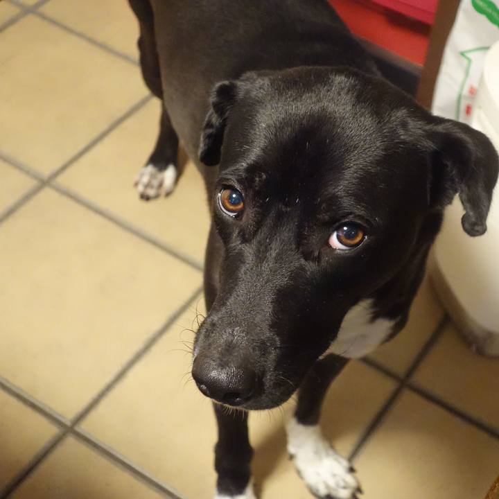 30069586 db43 45b9 9895 c5fb20b2e1bd 1603669848465