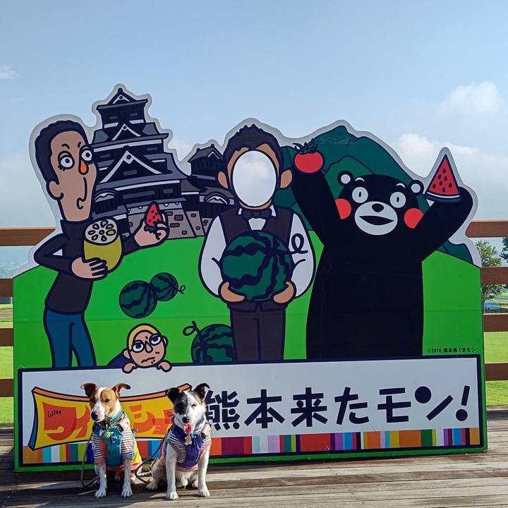 3006a05e 9ea6 4fb3 9a02 21c005ee487e 1691882810357