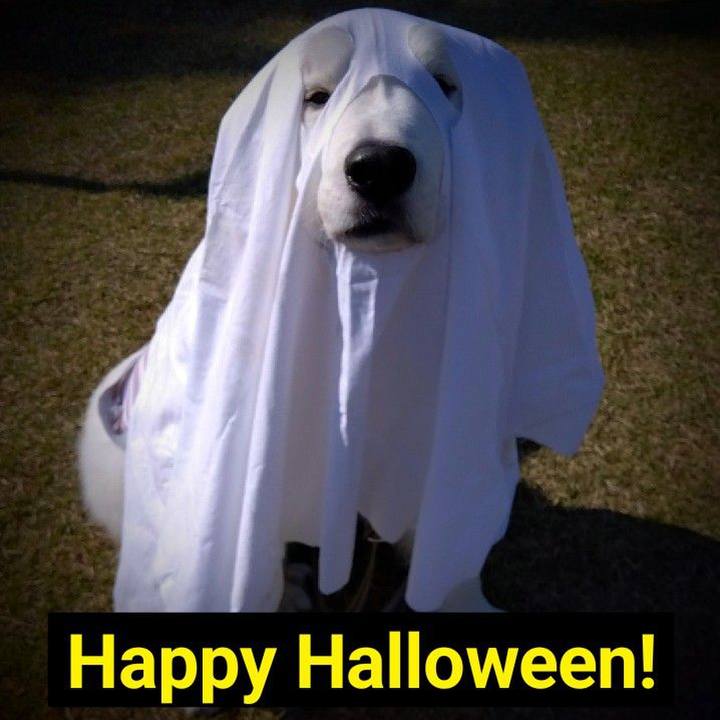 3006ae68 b701 4787 90b6 d3b3739eed57 1667208702981