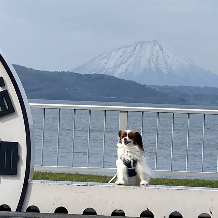 3006bd92 5869 47dc 9ad9 da7d5ff7c3a1 1683111427247