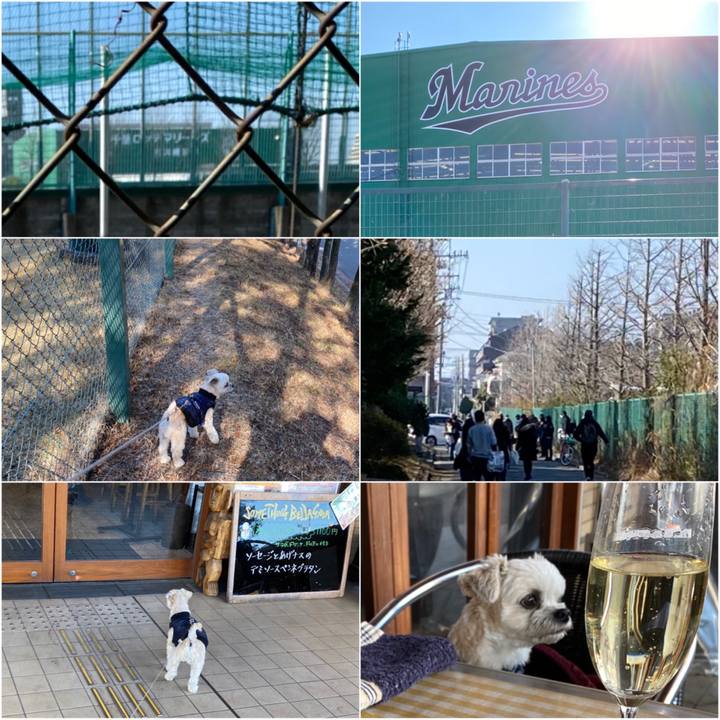 300712d0 8212 4301 a93c 701b6aefc6a5 1578900060169