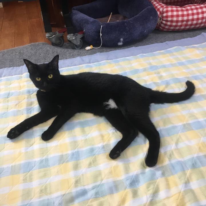 30072a6e ad06 43bf 86f3 82c031744499 1532862619683