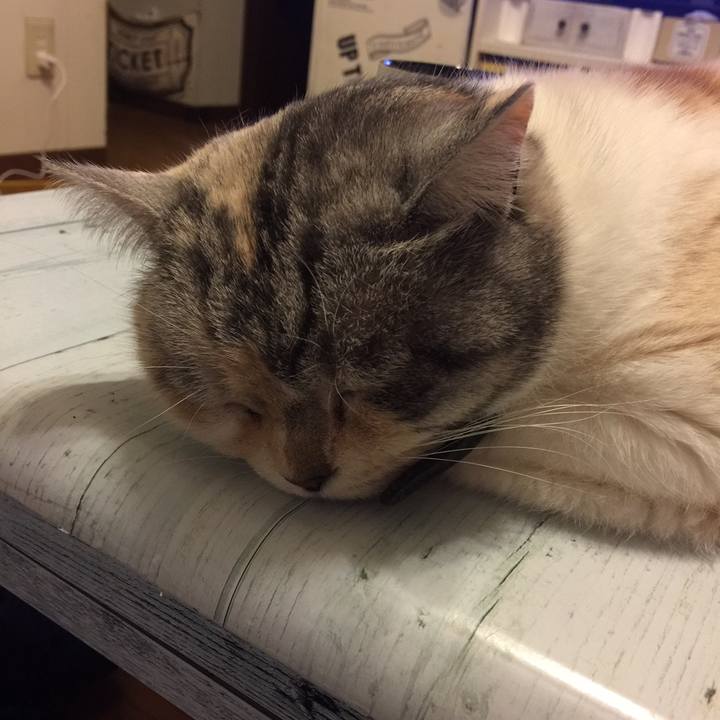 300762b8 bc4e 49da b3eb dc0865023682 1558624907066