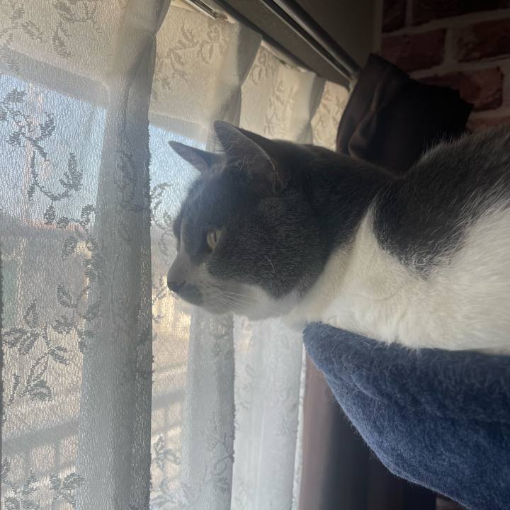 30082ffd 108b 4b5f a183 353b995cc9ad 1686953084508