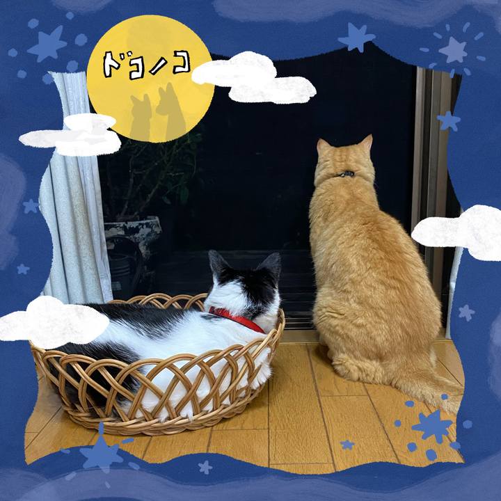 30086834 4b29 472a 992f 2510f76ea855 1726803249317