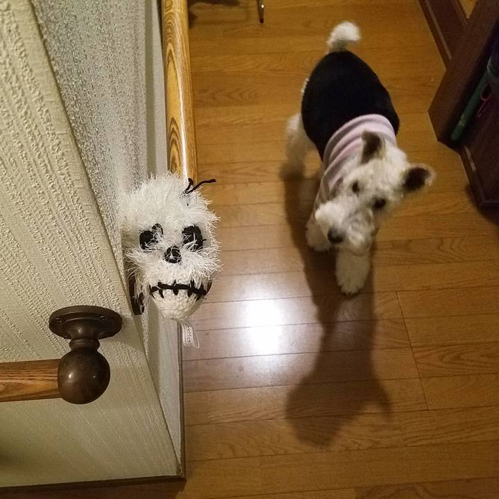 3008884e 08c1 4419 995d b6c1149ef828 1581259049386