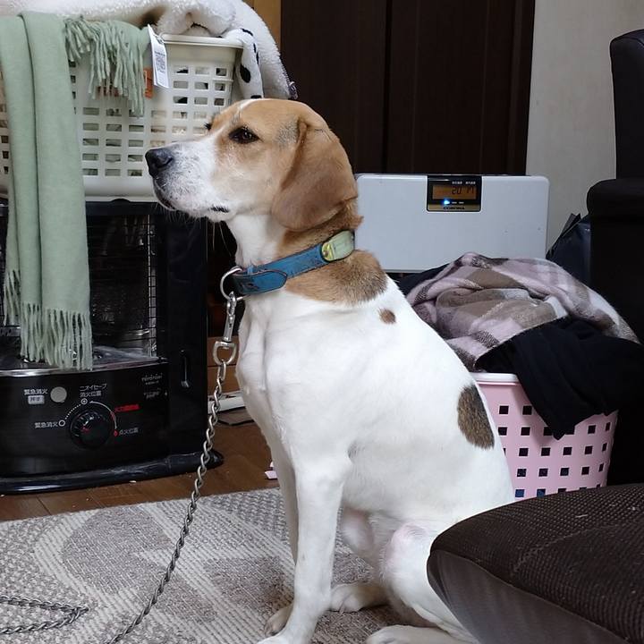 3008a525 f8a6 4bc2 b0a6 f699295c3bb7 1608348547073