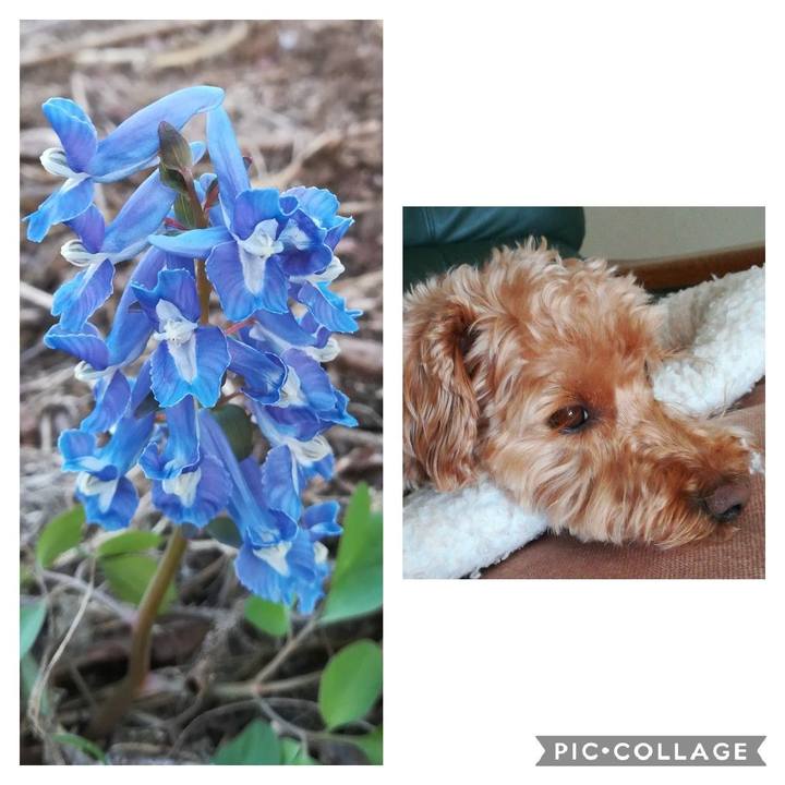 3008cf1c 41e8 47f6 b9f1 f86de462065d 1556145045209