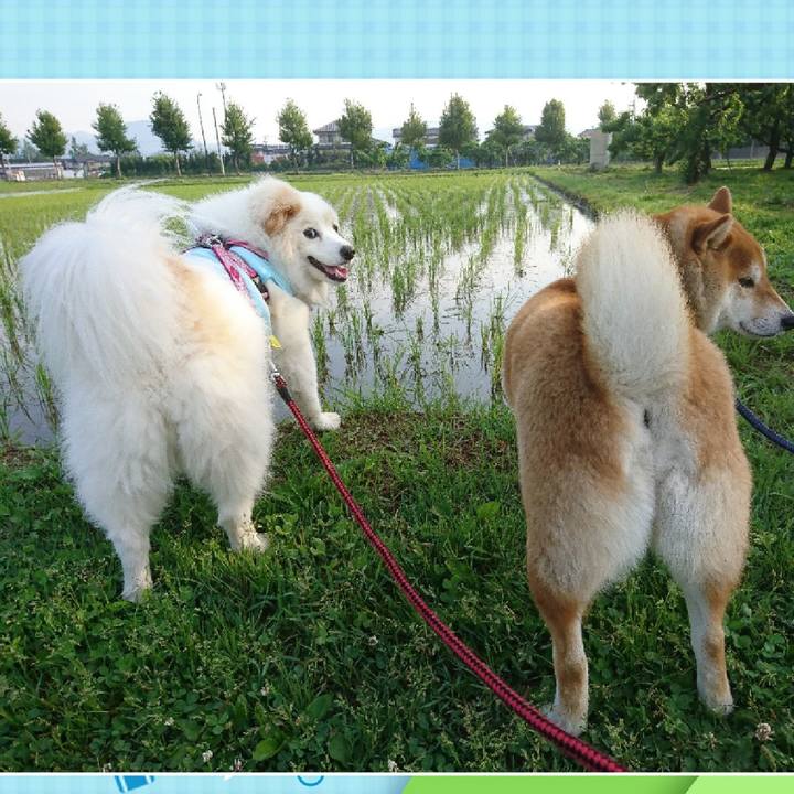 3008f8ea db14 4a55 b4bb 72ab675f3e74 1527544672406