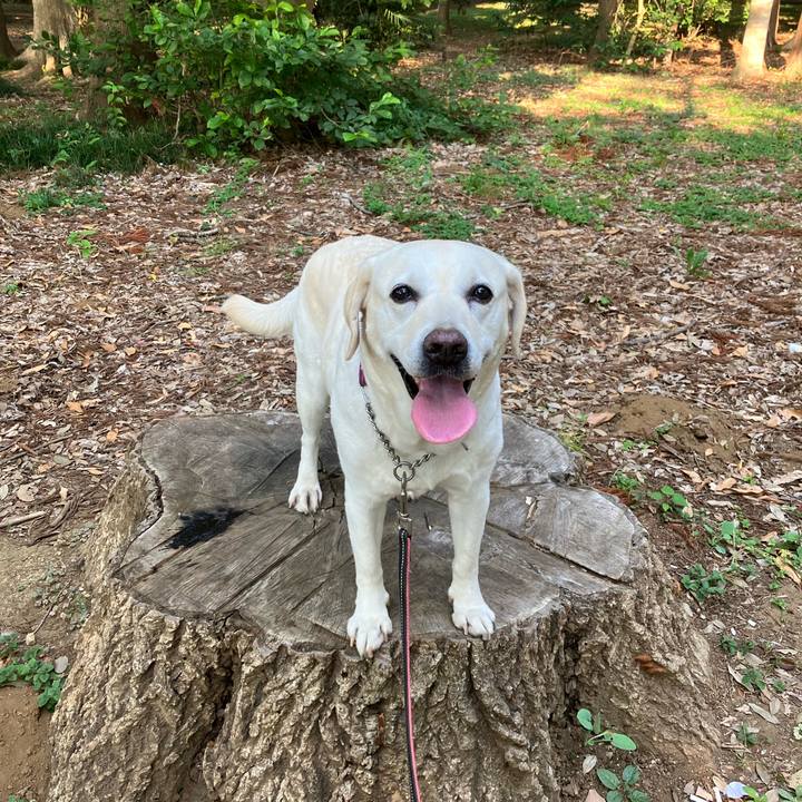 30092e27 1065 4b25 8cd7 b815c73751a8 1690503498016