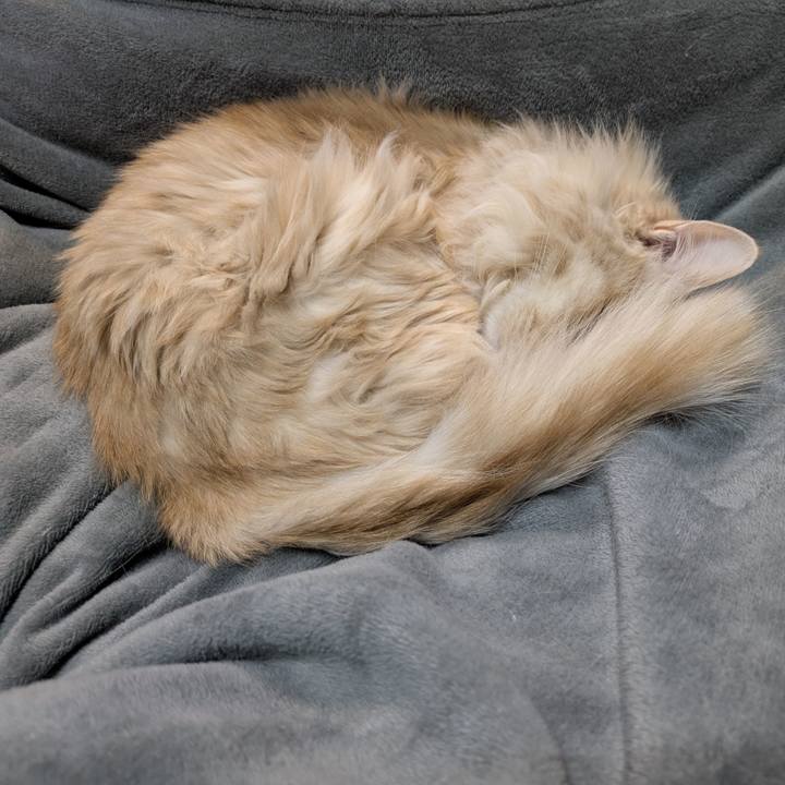 30092f83 c2b1 4a68 8d72 1653cb60489f 1769357374354